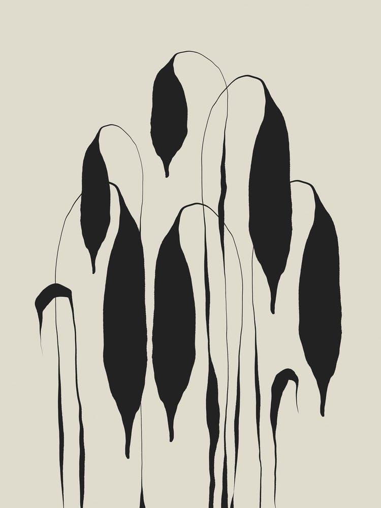 Black Leafs