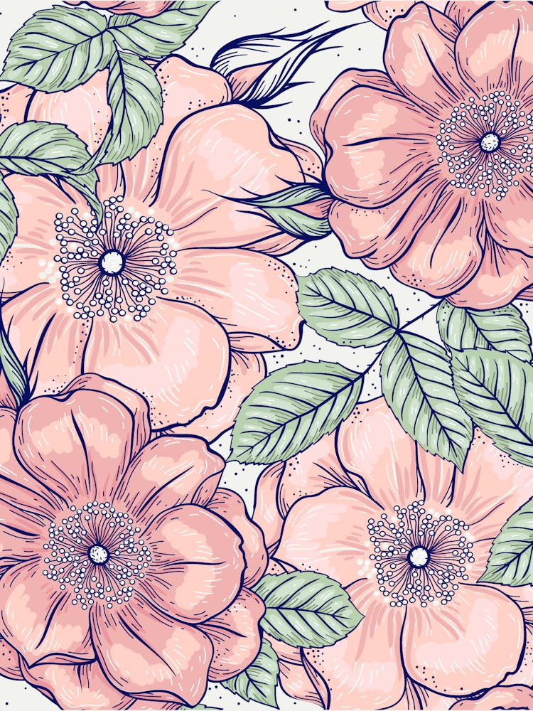 Pink Roses 1