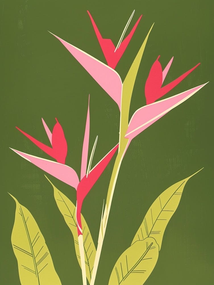 Pink & Green Heliconia 1