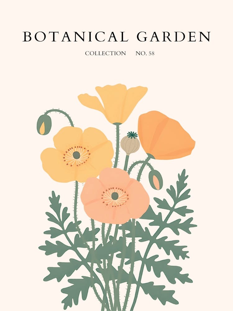 Botanical Garden 62