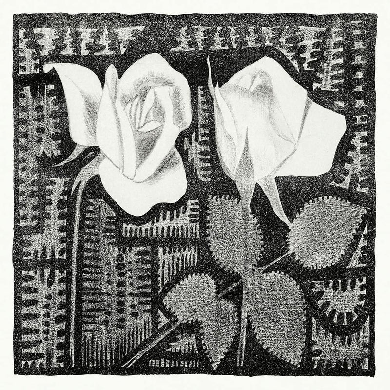 Two Roses (C