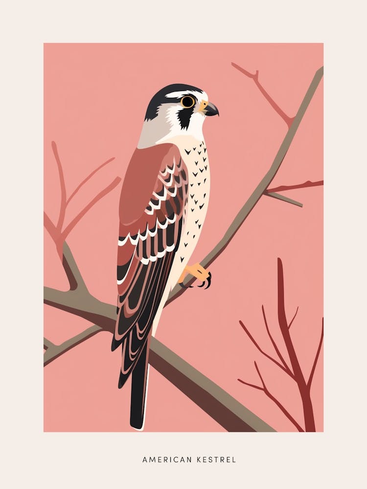 Minimalist American Kestrel 3 Bird Poster