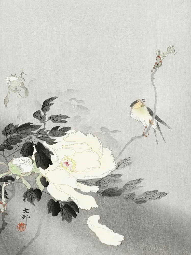 Swallow With Peony (1900 1930), Ohara Koson