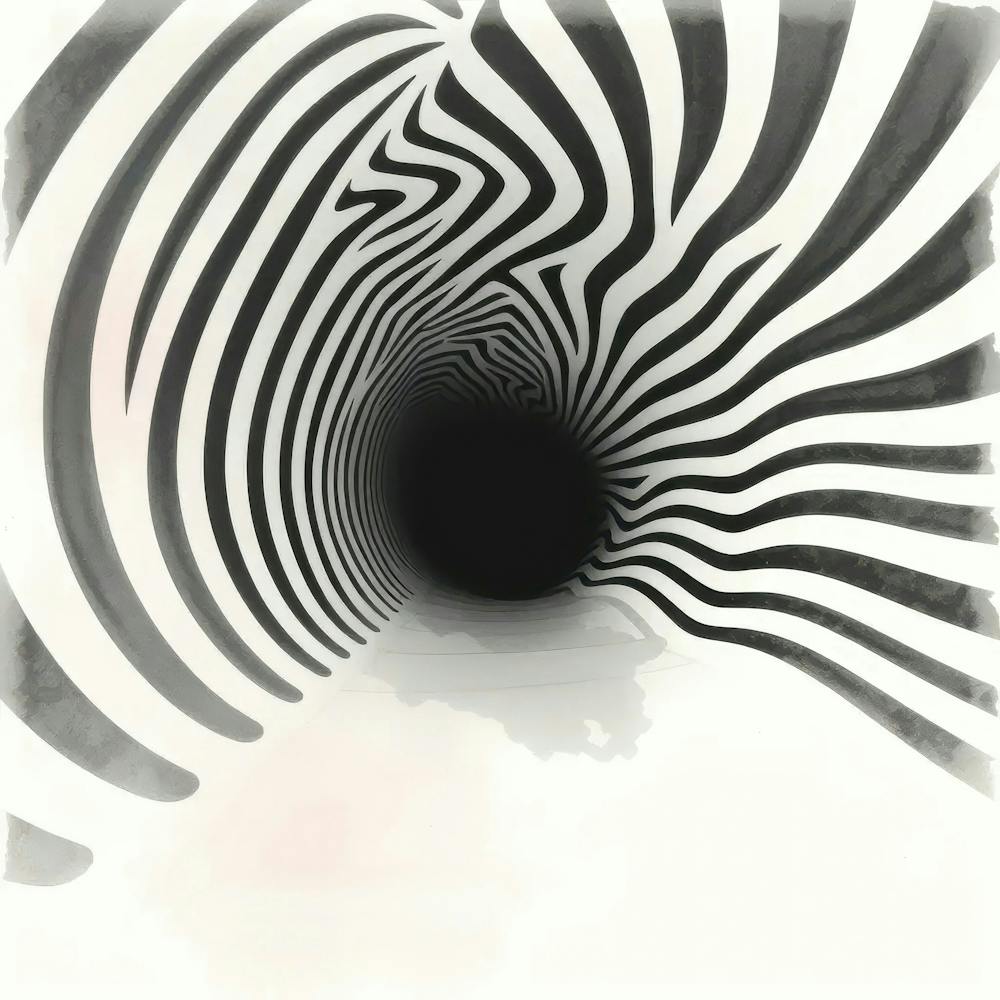 Zebra Print