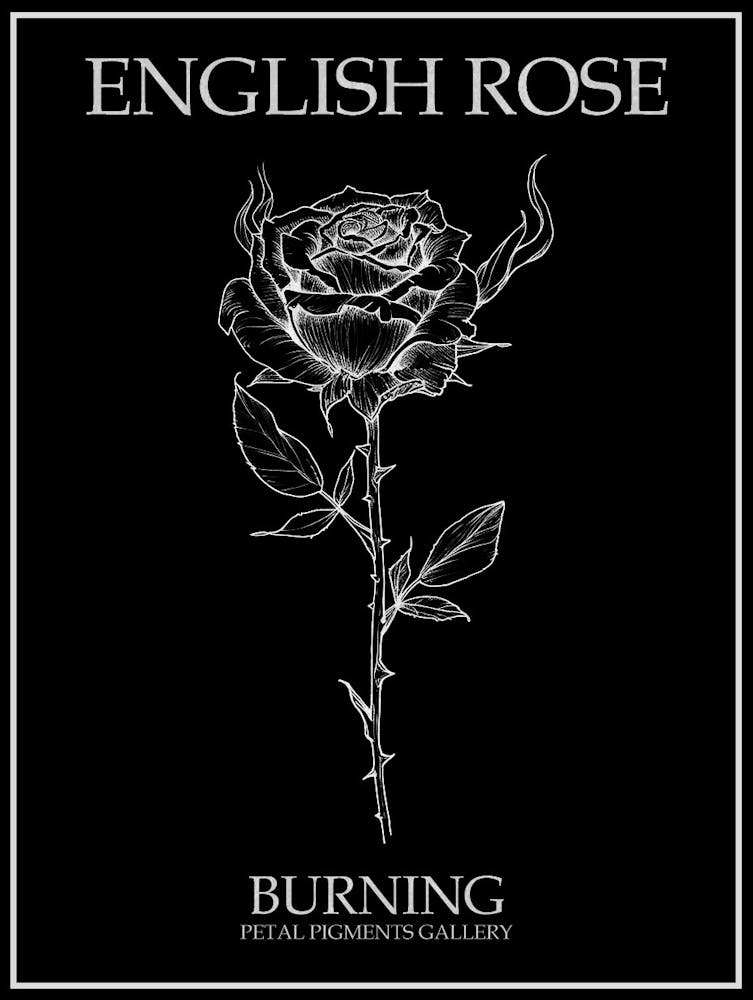 English Rose Burning Line Drawing 2 Poster Inverted
