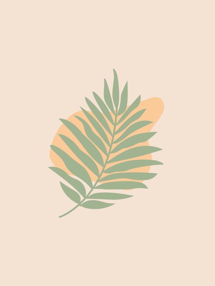 Boho Leaves