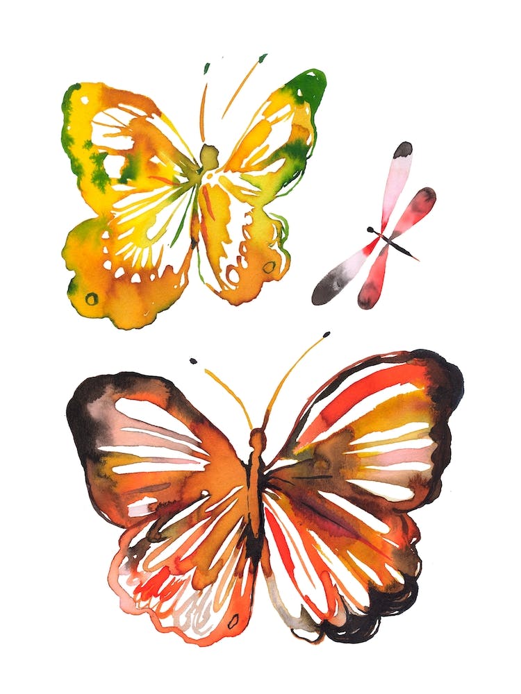 Butterfly Dragonfly Watercolour