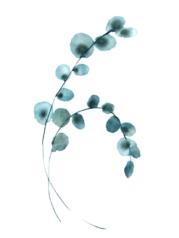 Blue Catkins Botanical Art