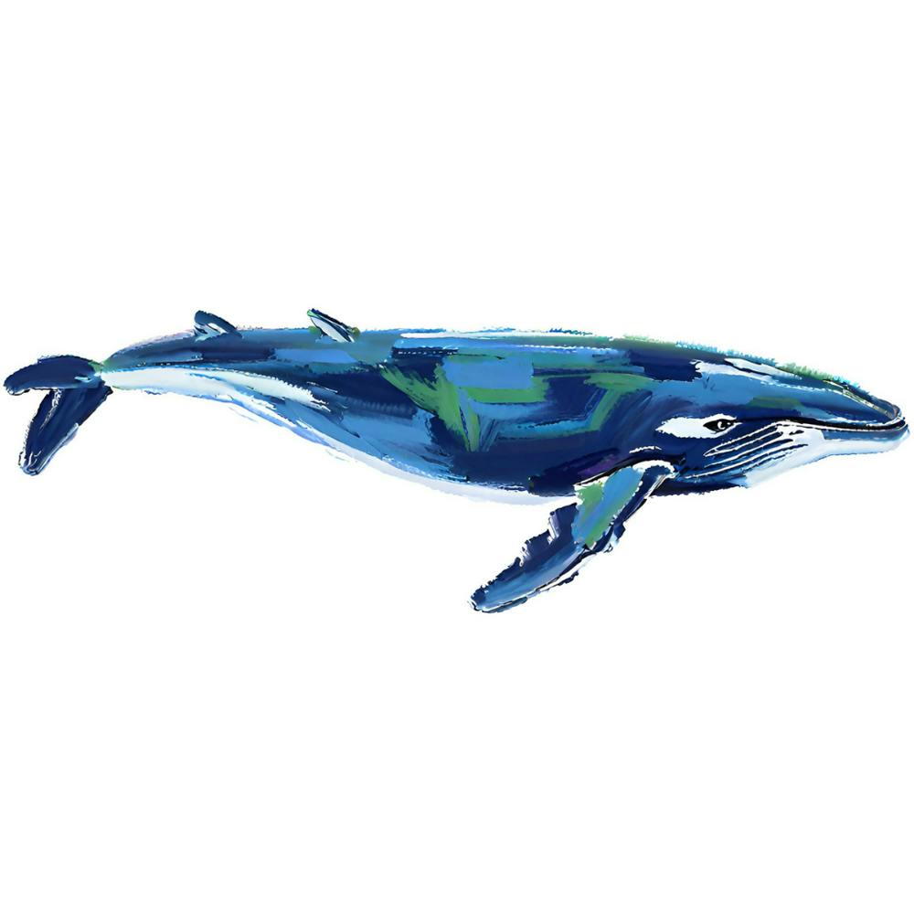 Humpback Whale 02