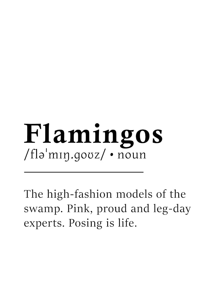 Flamingos Definition Poster - Dictionary