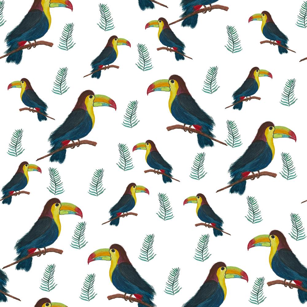 Tropical Toucan Birds