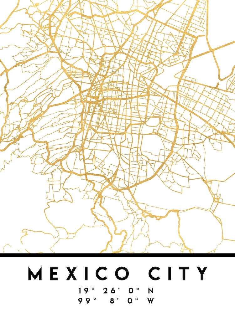 Mexico City City Street Map