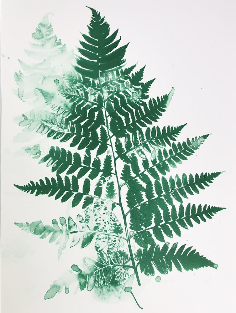 Green Ink Painting Of A Silver Lace Fern 2
