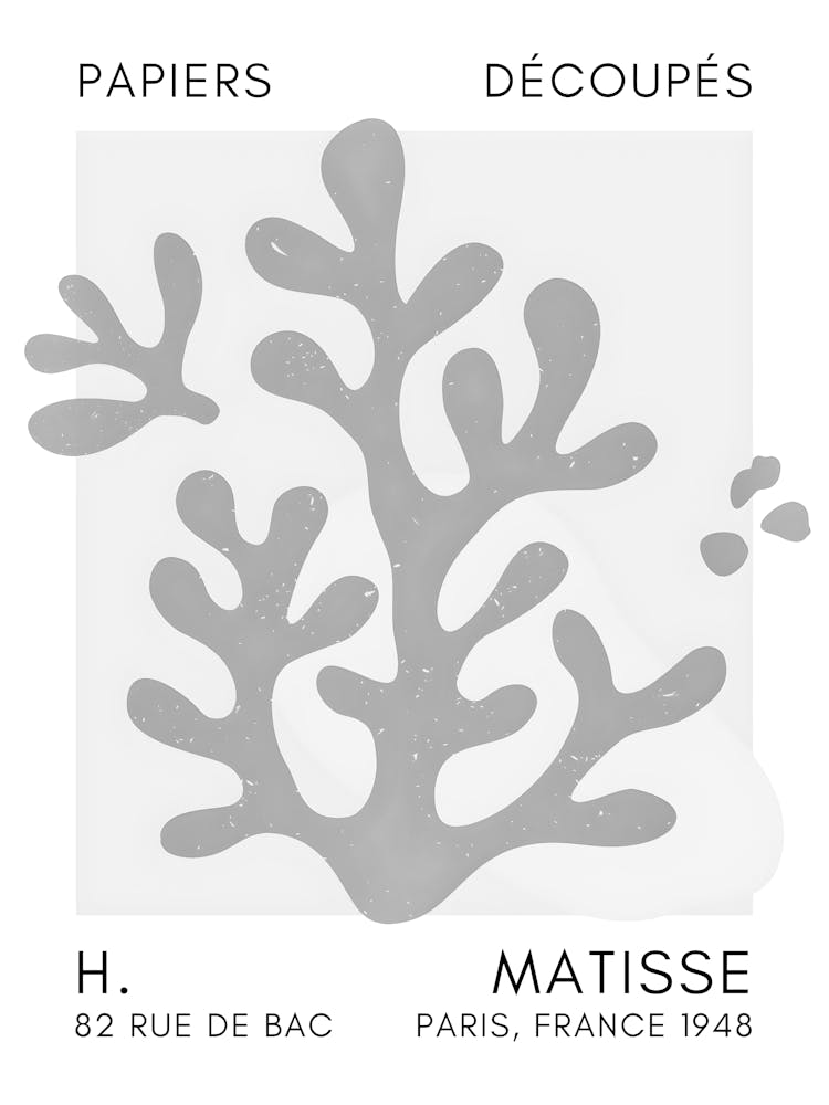 Matisse 37