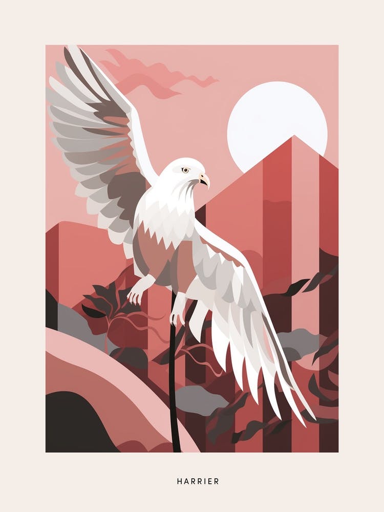 Minimalist Harrier 1 Bird Poster