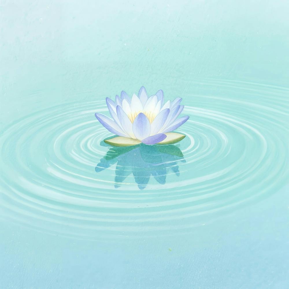 Lotus Flower 19