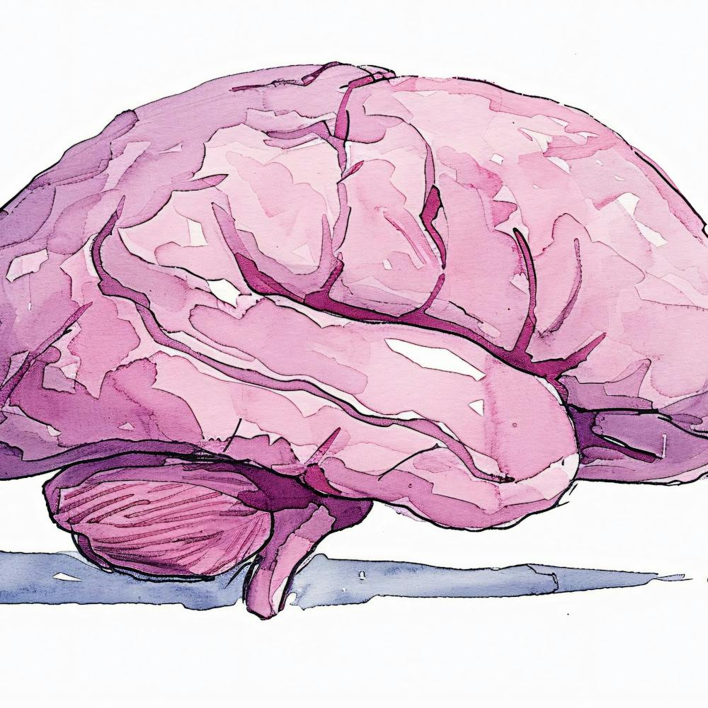 Pink Brain