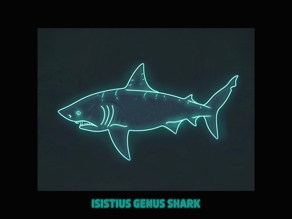 Neon Isistius Genus Shark 4 Poster