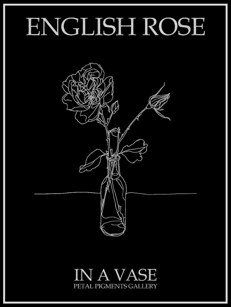 English Rose In A Vase Line Drawing 3 Poster Inverted