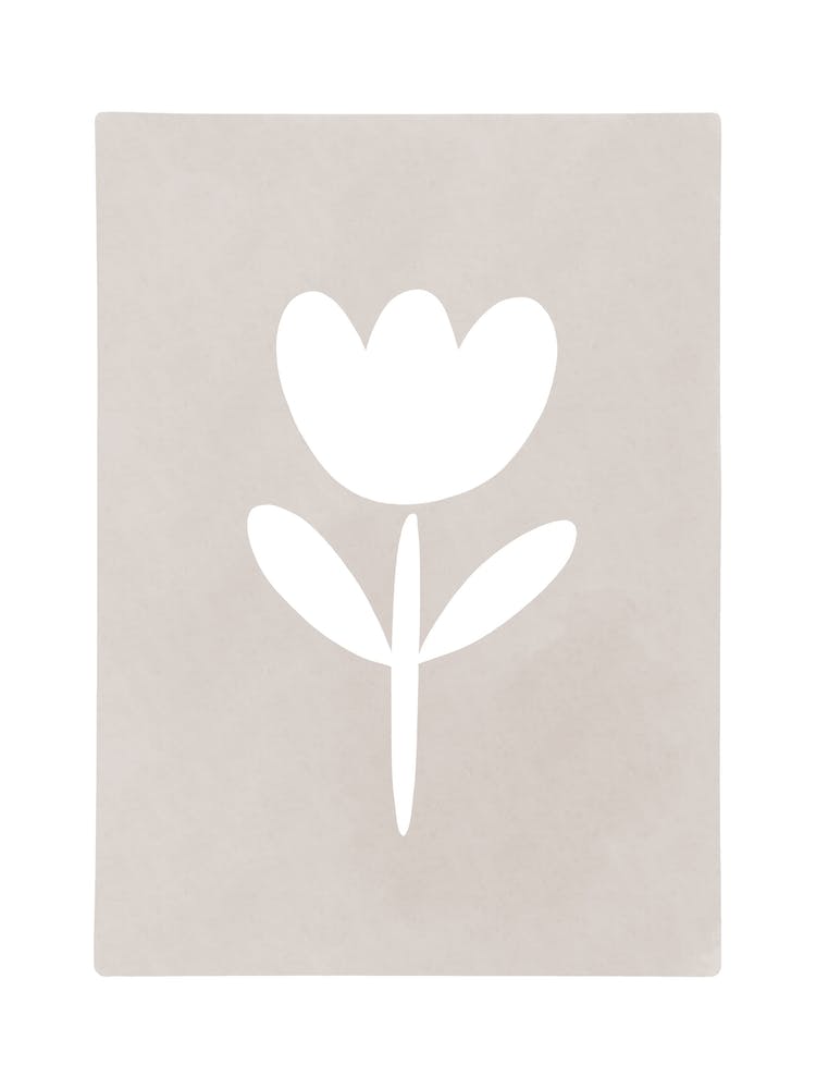 White Tulip