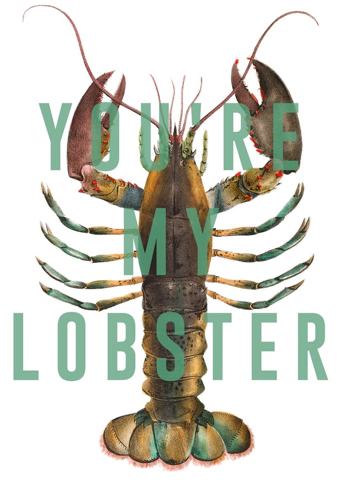 You Are My Lobster