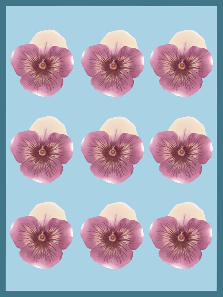 Minimalist pink pansies decoration - into the garden