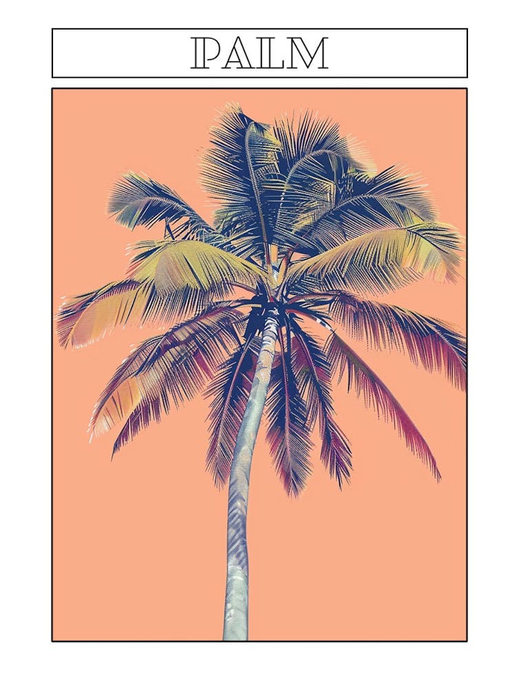 Palm Tree Minimalistic Drawing 1 Poster