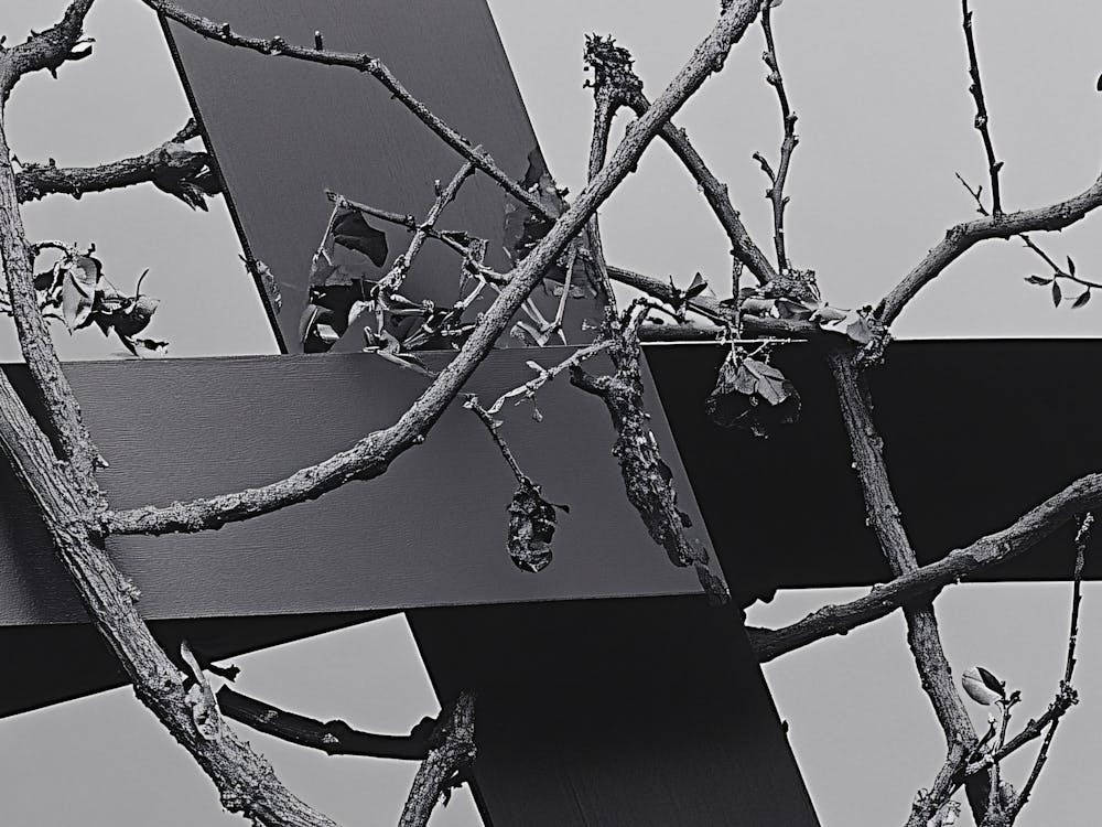 Cross In A Tree