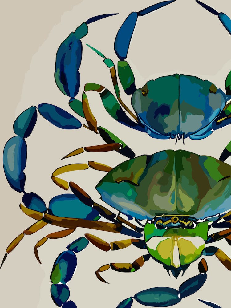 Blue Crab Vintage Graphic Watercolour