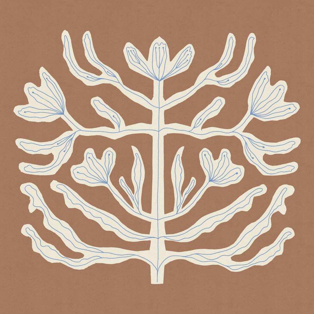 Floral Symmetry