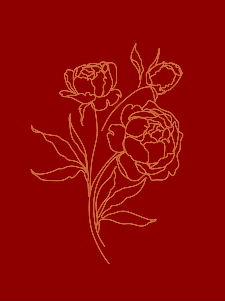 Peonies 4