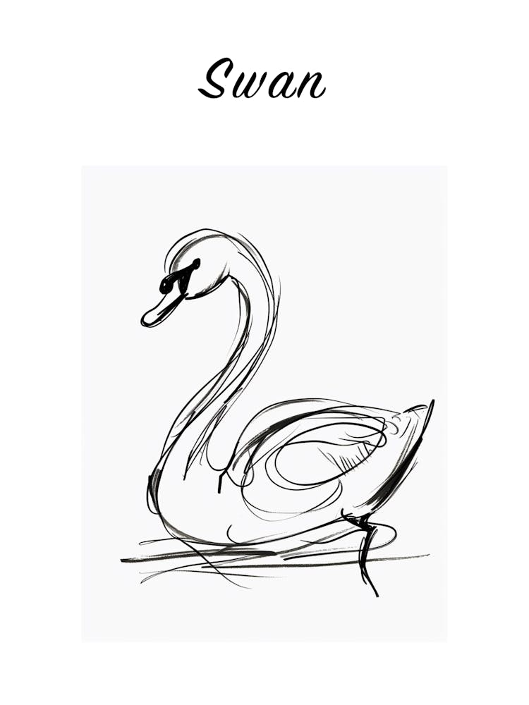 B&W Swan Poster