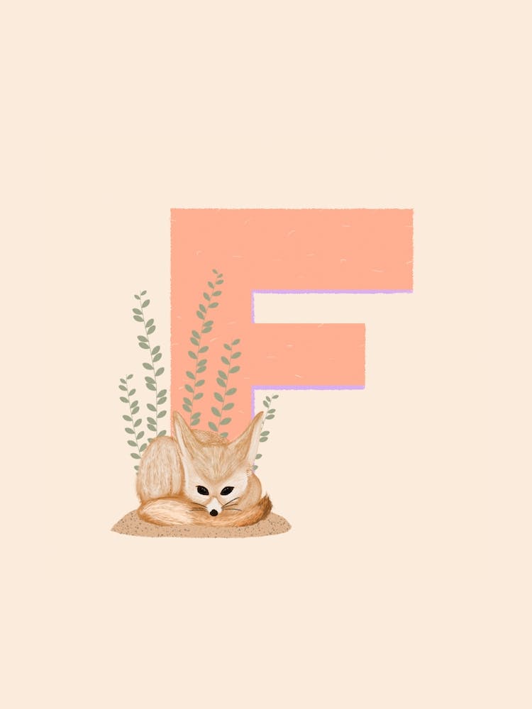 Letter F Fennec Fox