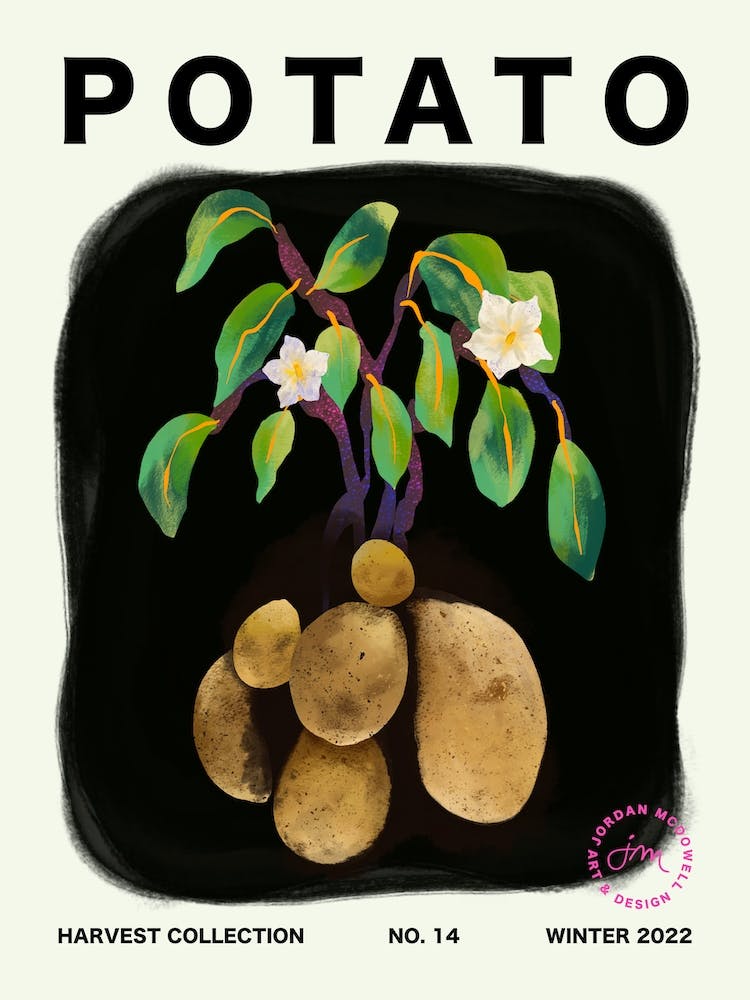 Potato Vegetable Kitchen Typography