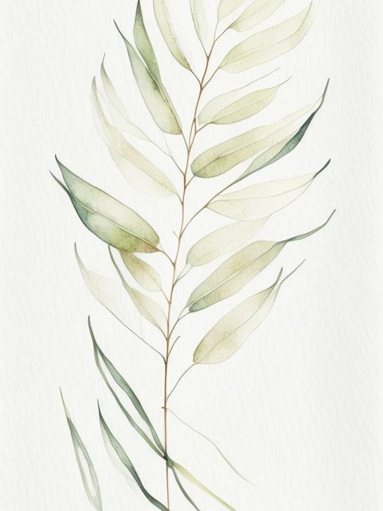 White Willow Leaf Minimalist Watercolour 4