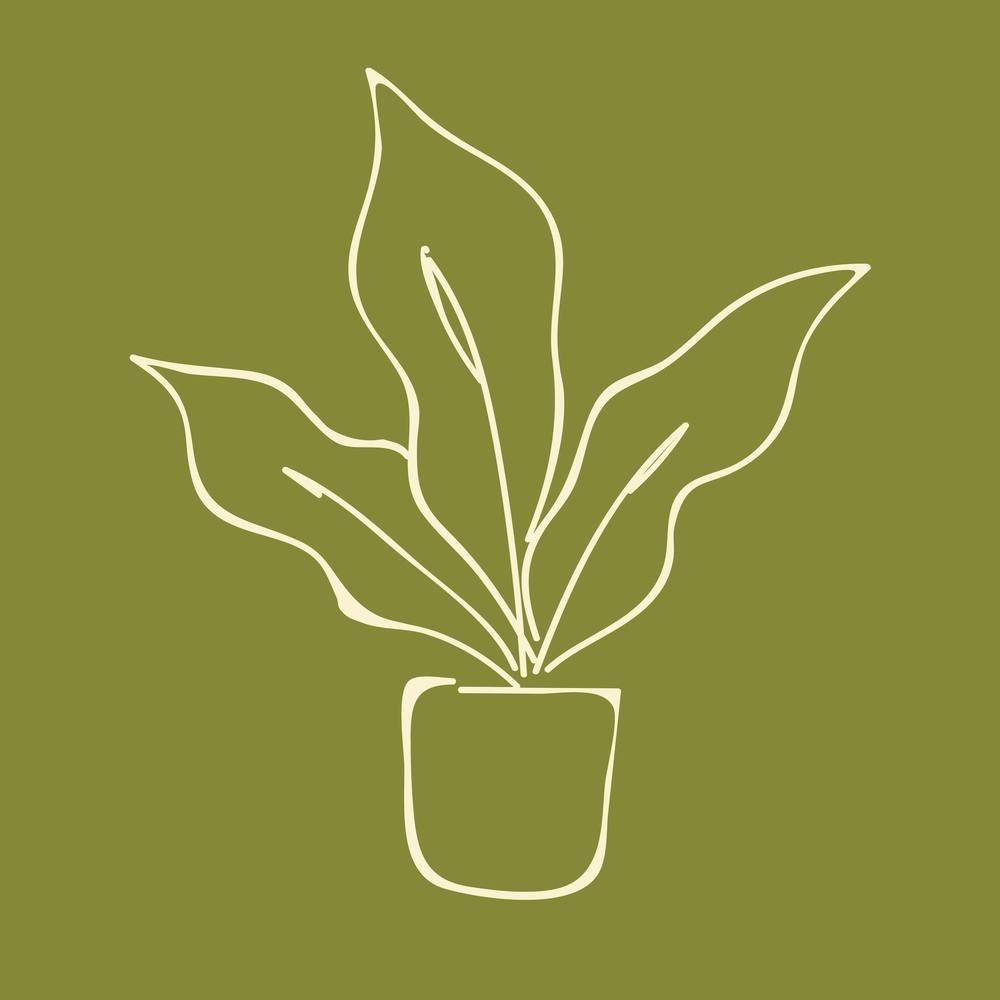 Pot Plant Drawing Olive 