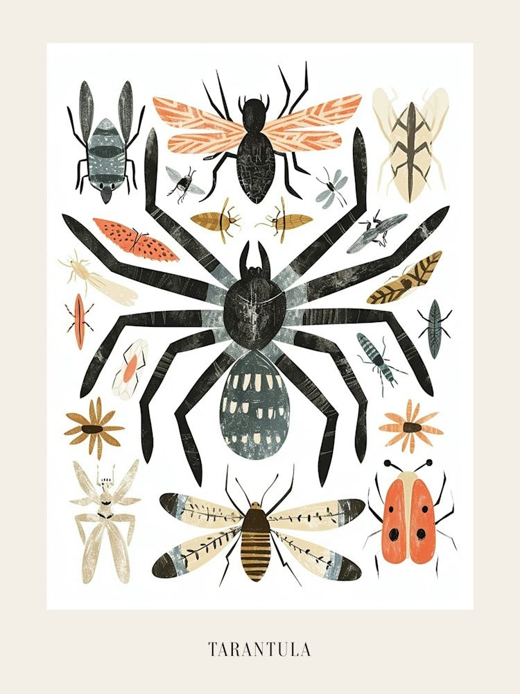 Colourful Insect Illustration Tarantula 6 Poster