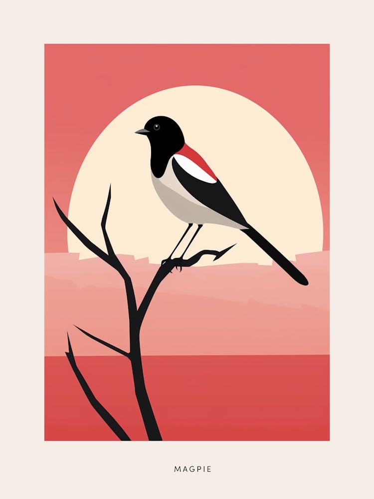 Minimalist Magpie 3 Bird Poster