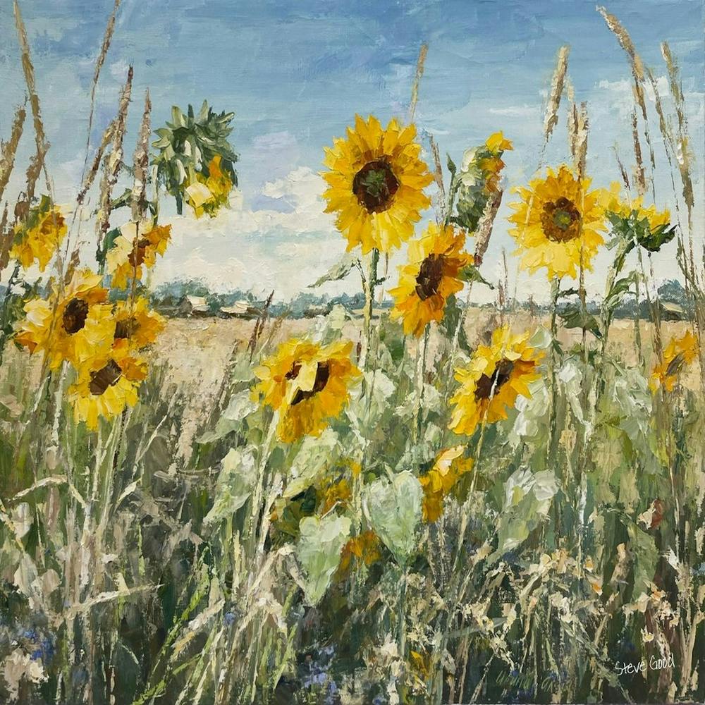 Summer Sunflowers In Aston Field 1