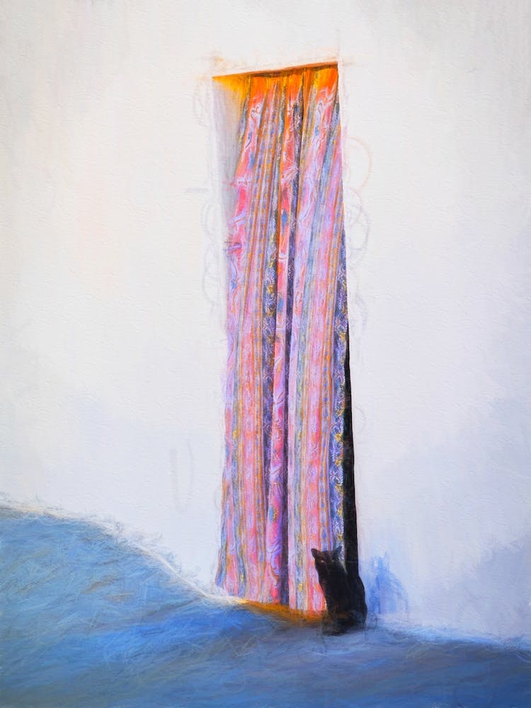 The Cat And The Curtain