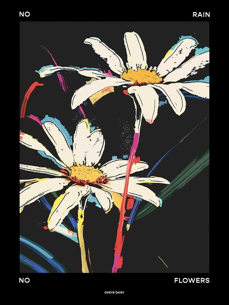No Rain No Flowers Poster Oxeye Daisy 3