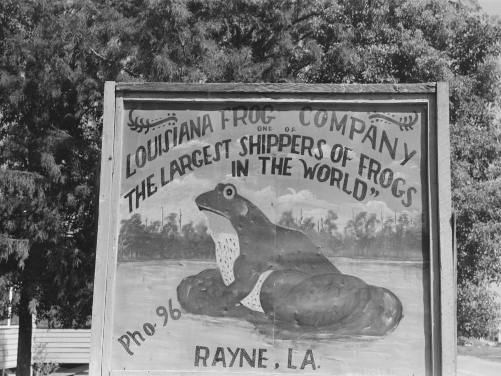 Sign Of Frog Company, Rayne, Louisiana By Russell Lee