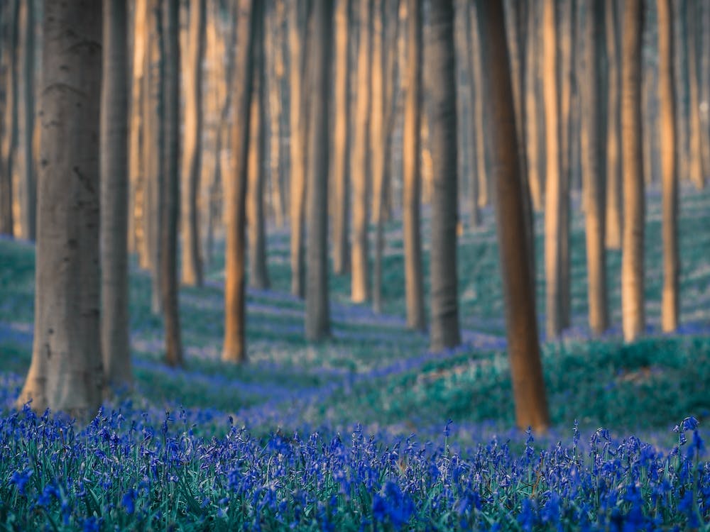 Dreams Are Made Of These