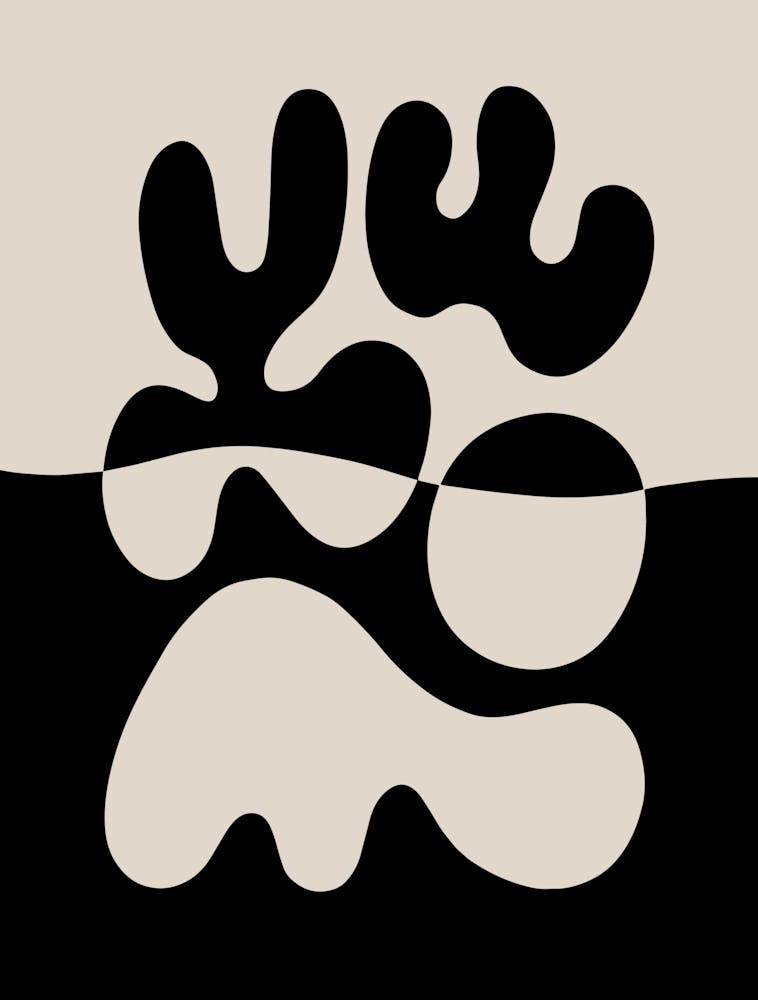 Mid Century Modern Organic Minimal