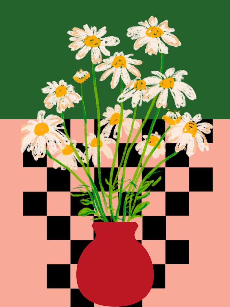 Daisies