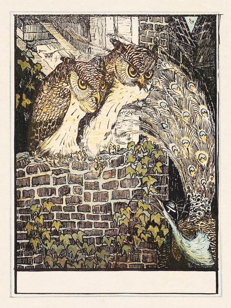 Two Owls On A Wall (1895), Theo Van Hoytema