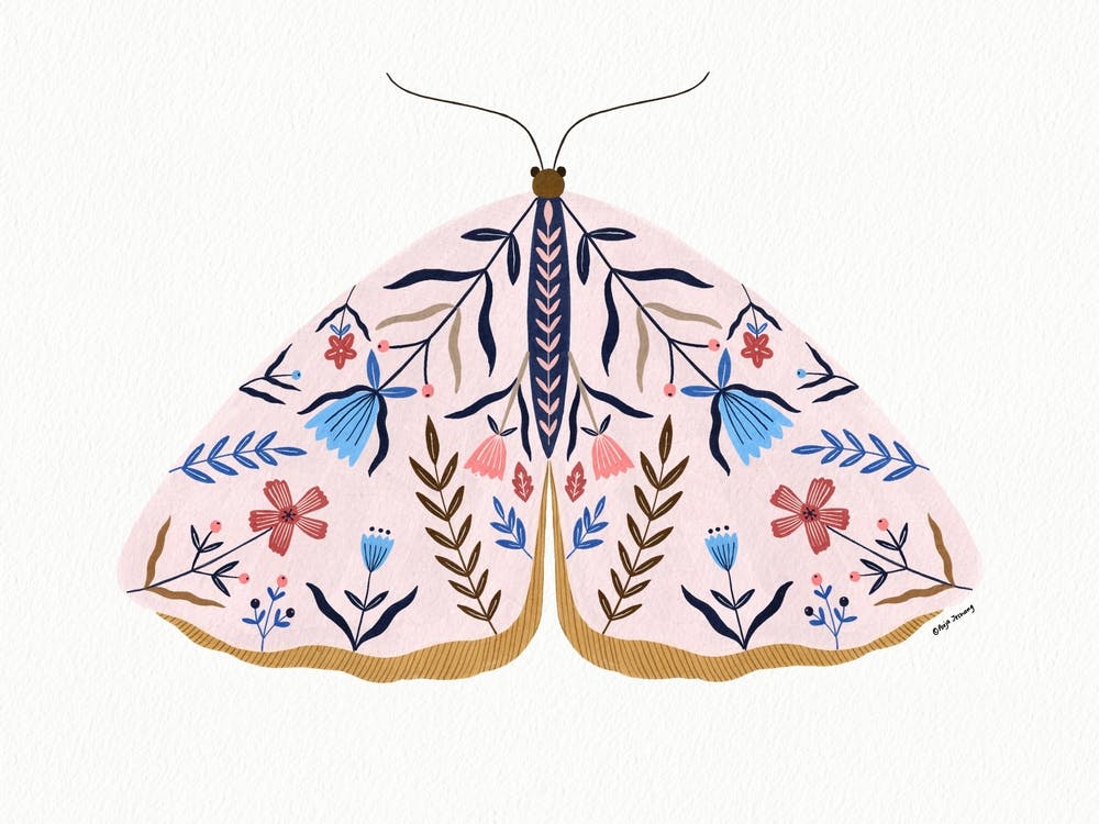 Pink Floral Moth