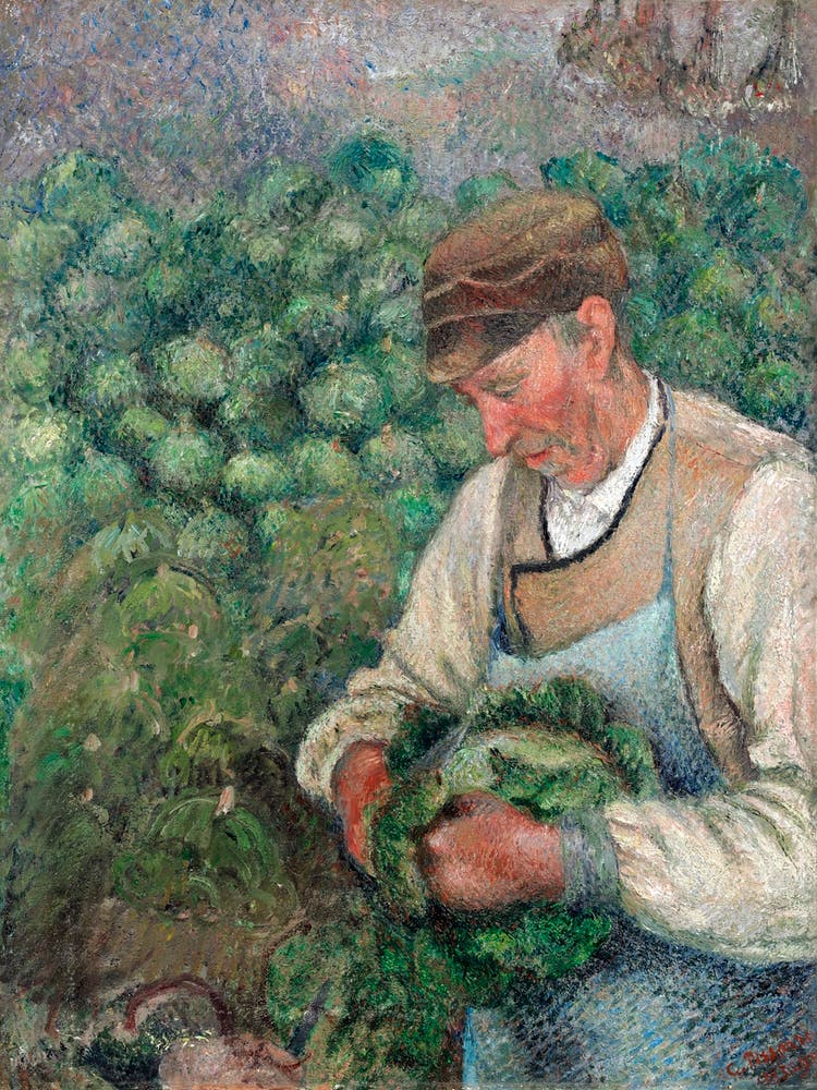 The Gardener Old Peasant With Cabbage (1883 1895), Camille Pissarro