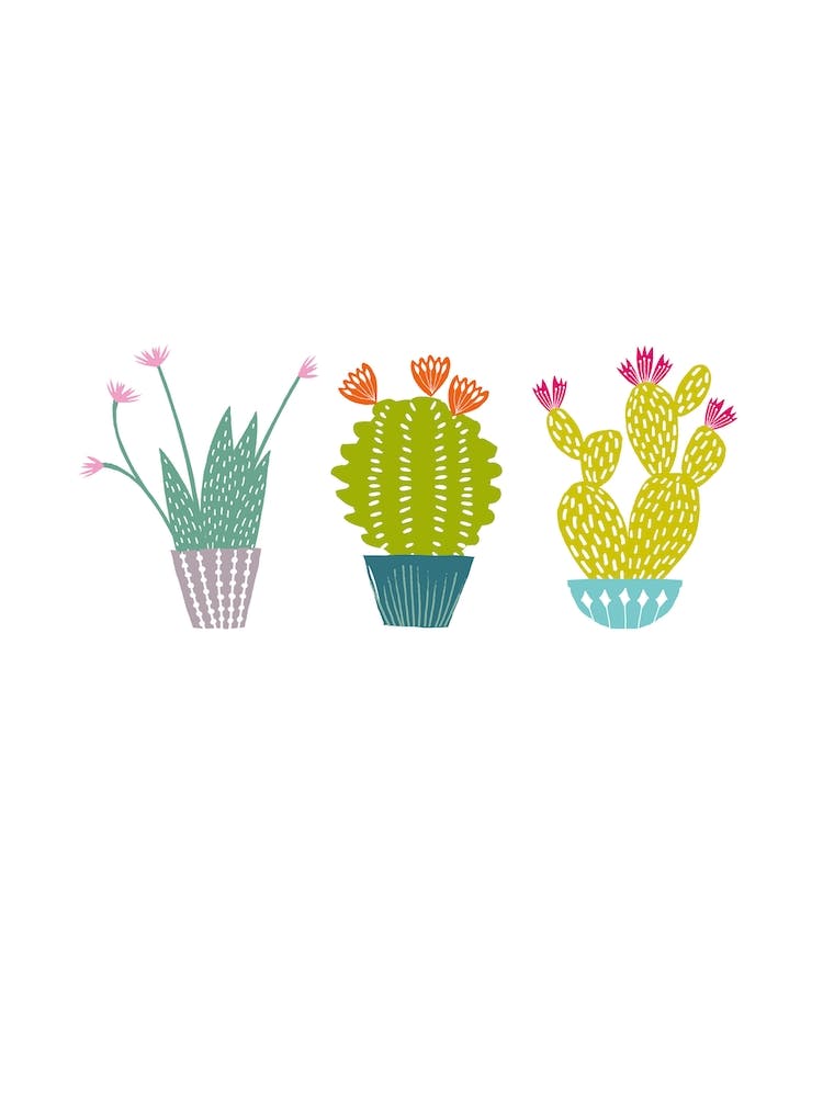 Cactus Trio