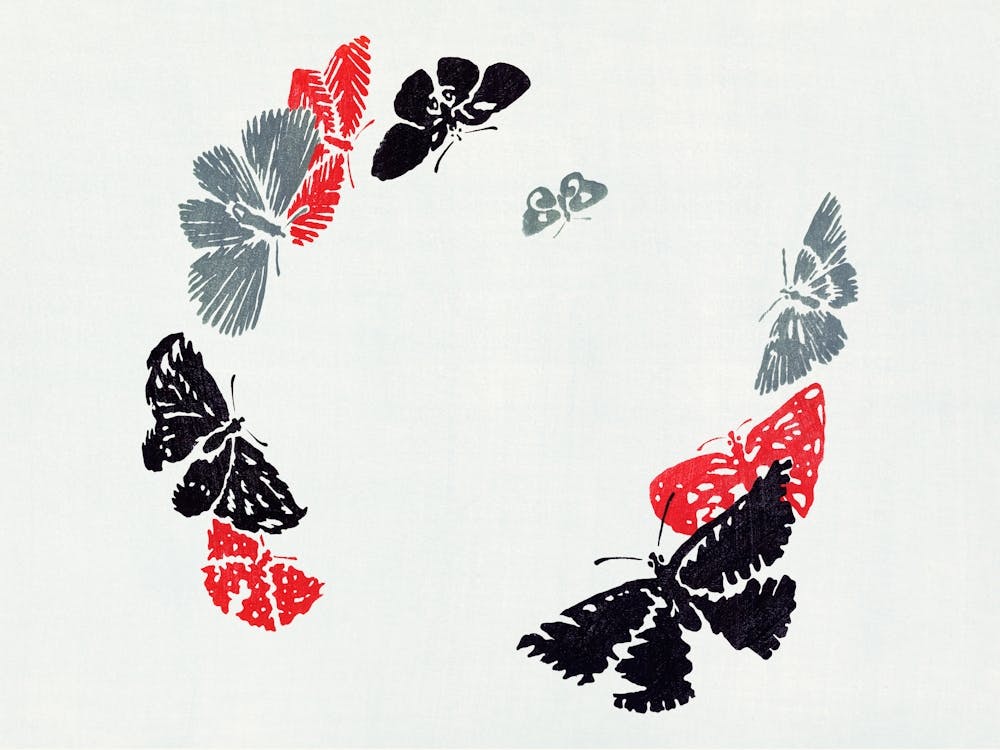 Japanese Butterfly, Cho Senshu (12)